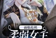 辛鹊骆华意的故事在哪本书里?免费阅读面临危机,柔弱女主选择自救-干果文学