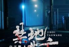 唐枫舒玥为主角的小说好看吗?免费读禁地逃亡-干果文学