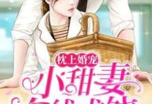 主角叫顾峥路景淮的小说在哪阅读-干果文学