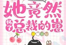 一夜情后,她竟然怀了总裁的崽小说最新更新在哪里?免费在线看-干果文学
