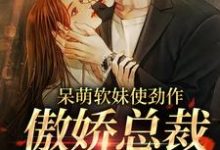 免费看呆萌软妹使劲作,傲娇总裁放肆宠小说的网站有哪些?-干果文学