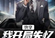 快穿:我开局失忆,入赘云家小说无弹窗阅读的网站推荐-干果文学