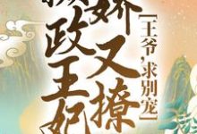 摄政王妃娇又撩:王爷,求别宠!林纤仙南御冥小说在线章节免费阅读-干果文学