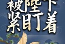 小太监她被陛下紧盯着这本小说完结了吗?免费查看最新章节-干果文学