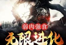 弱肉强食:无限进化成妖神叶天狼爹小说免费阅读-干果文学