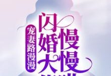 男女主人公叫季娴杭墨深的小说免费资源-干果文学