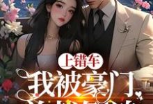 免费阅读杨柳陆弋为主角的小说,上错车,我被豪门总裁倒追在线看-干果文学
