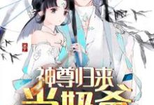 秦洛安颜小说在哪里可以看-干果文学