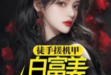 徒手搓机甲,白富美女神惊呆了徐帆王艺雪小说免费阅读-干果文学