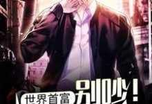 主角叫马林小说世界首富:别吵!忙着亏钱!章节免费阅读-干果文学