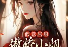 求假意屈服:傲娇小姐她撒腿就跑小说的全文免费阅读链接-干果文学