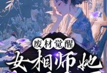 小说《废材觉醒:女相师她权倾天下》章节阅读-干果文学