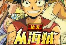 龙天为主角的小说诸天:从海贼开始签到在线阅读-干果文学