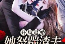 《开局退婚,她怒踹渣夫搞事业》小说大结局免费试读  沈绾顾卫东小说-干果文学