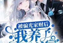 小说《被骗光家财后,我养了世界首富》章节免费阅读-干果文学