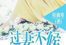 男女主人公温蕊顾少辰梁远朝小说过妻不候章节免费阅读-干果文学