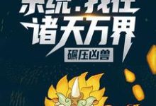 系统:我在诸天万界碾压凶兽小说最新章节在哪里可以读到?-干果文学