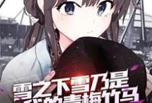 小说《雪之下雪乃是我的青梅竹马》章节免费阅读-干果文学