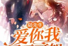 《陆先生,爱你我罪无可恕》小说章节列表免费试读,顾言笙陆寒霆小说在线阅读-干果文学