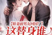 想读王逸风的故事,哪里可以免费找到娇妻前男友回国?这替身谁爱当谁当?-干果文学