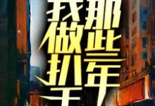我做扒手那些年这本小说完结了吗?免费查看最新章节-干果文学