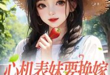 心机表妹要换嫁,我笑着同意小说有没有完整的免费版本在线阅读?-干果文学