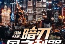 男女主人公萧风小说战神归来:暗刃国之利器章节免费阅读-干果文学