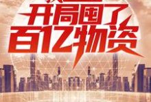 我,重生者,开局囤了百亿物资沐辰小说免费阅读-干果文学