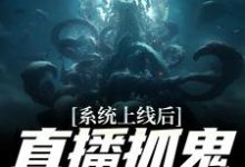 《系统上线后,直播抓鬼返战斗力》全集免费在线阅读(周升)-干果文学