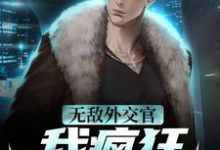 无敌外交官!我疯狂掠夺国运林宇小说免费阅读-干果文学