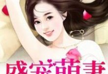 完整版的盛宠萌妻小说在哪里可以免费读到?-干果文学