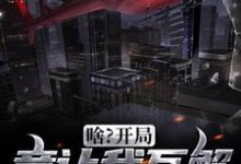 完结版《啥?开局竟让我瓦解黑暗势力》章节目录在线阅读-干果文学