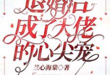 完结版《退婚后成了大佬的心尖宠》章节阅读-干果文学