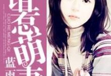 《错惹萌妻》全集免费在线阅读(苏宇桐左梵宇)-干果文学