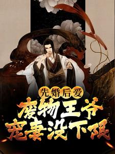 李澈为主角的小说好看吗？免费读先婚后爱：废物王爷宠妻没下限