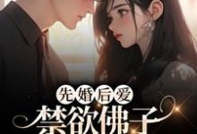 华瑶傅商宴的故事在哪本书里?免费阅读先婚后爱:禁欲佛子小舅哄我生崽-干果文学