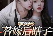 《先婚后爱:替嫁后瞎子老公复明了》小说章节在线试读,《先婚后爱:替嫁后瞎子老公复明了》最新章节目录-干果文学