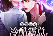 《先婚后爱:冷酷霸总追妻路漫漫》小说大结局免费试读 云卿傅聿琛小说-干果文学