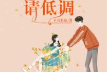 甜宠暖婚:总裁宠妻请低调夏默子桑桑小说在线章节免费阅读-干果文学