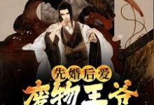 免费看先婚后爱:废物王爷宠妻没下限小说的网站有哪些?-干果文学