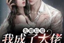 男女主人公叫乔蓝笙陆北修的小说免费资源-干果文学