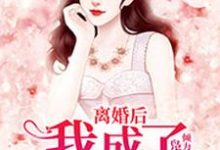 离婚后,我成了香饽饽小说,离婚后,我成了香饽饽免费阅读-干果文学
