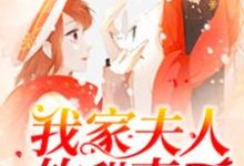 小说《我家夫人软甜爽口》章节免费阅读-干果文学