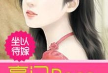 《坐以待嫁:豪门Boss的新娘》小说大结局免费试读 南萧林厉曜南羽麟林忆昔小说-干果文学