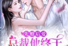 先婚后爱:总裁他终于暗恋成真了这本小说完结了吗?免费查看最新章节-干果文学