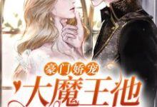 求豪门娇宠:大魔王他是个妻奴小说的全文免费阅读链接-干果文学