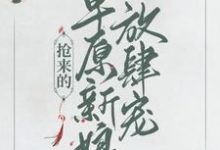 免费在线阅读抢来的草原新娘放肆宠小说的正规网站有哪些?-干果文学