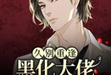 久别重逢:黑化大佬人设崩塌了免费阅读,久别重逢:黑化大佬人设崩塌了章节目录-干果文学