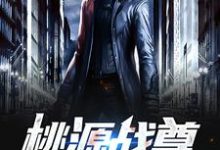 桃源战尊小说的免费电子版在哪里可以下载或阅读?-干果文学