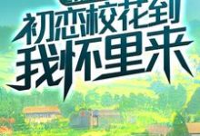 免费在线阅读重生八零:初恋校花到我怀里来小说的正规网站有哪些?-干果文学